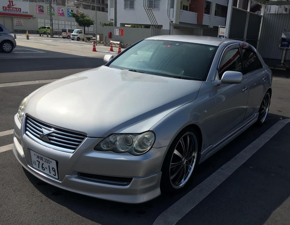 撮影:Bugball31 2
